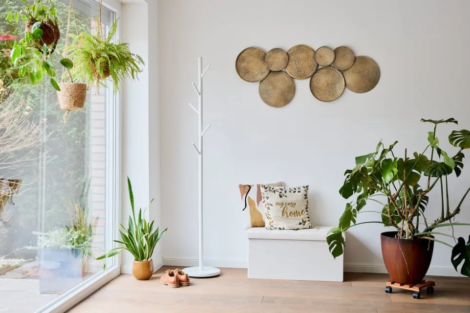 Betttruhe Premium-201