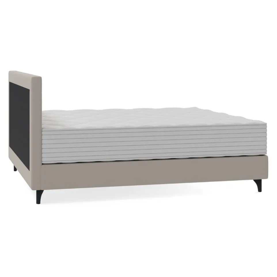 Boxspringbett Aurora