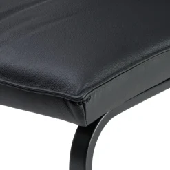 Freischwinger Darling S