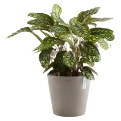 Gartentopf Amsterdam